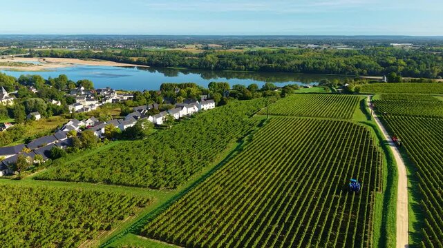 Aerial View on Vineyards in Montsoreau France, flying towards Loire River 
