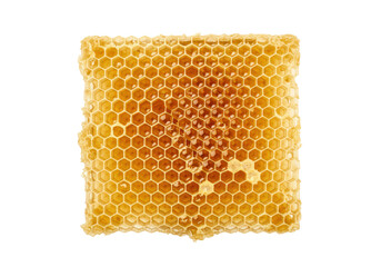 Isolated honeycomb full of golden honey, a natural, healthy sweet treat from bees