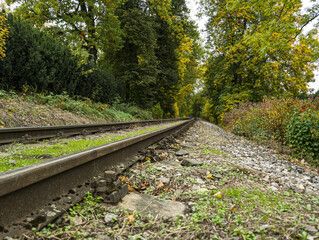 railway in the woods