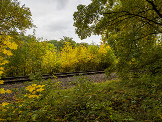 bridge in autumn