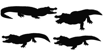 Silhouettes of alligators in various poses a dark and striking visual