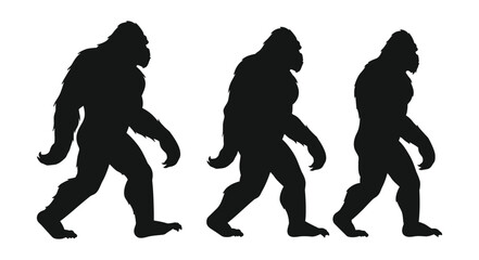 Three silhouetted gorillas walking in a row a captivating wildlife scene