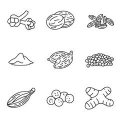 Various spices and herbs depicted as line art ginger cardamom