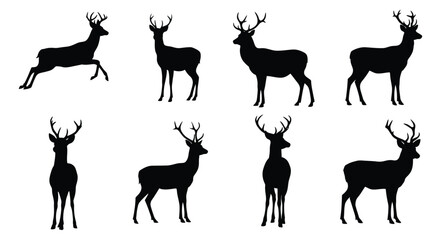 Silhouettes of majestic deer in various poses against a white background © Taylor