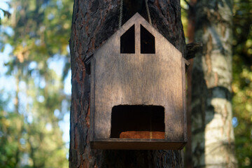 Birdhouse on tree. Wooden house for birds in a forest or park. Shelter habitat environment protection wildlife.