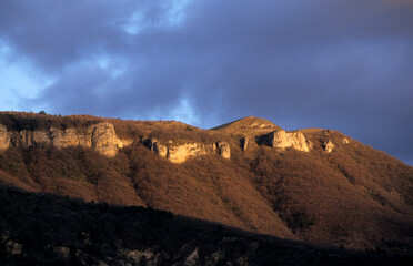 Fototapeta premium 021408 - 04 -.jpg