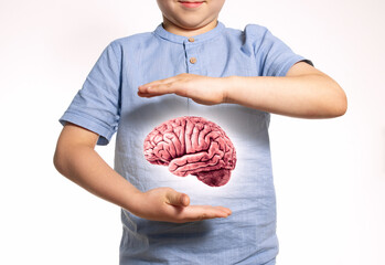  Boy holding a human brain model between his hands. Concept of mental health, intelligence, mindfulness, and cognitive development in childhood.