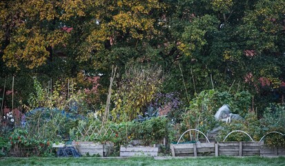 Agriculture cultivation in October with frozen lawn in the foreground.