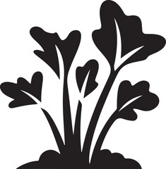 Rhubarb Sprouts Black Silhouette Vector, Botanical Plant Illustration & Garden Design