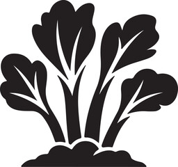 Rhubarb Sprouts Black Silhouette Vector, Botanical Plant Illustration & Garden Design