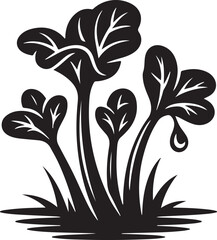Rhubarb Sprouts Black Silhouette Vector, Botanical Plant Illustration & Garden Design