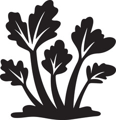 Rhubarb Sprouts Black Silhouette Vector, Botanical Plant Illustration & Garden Design