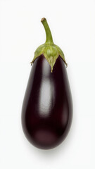 A single, glossy purple eggplant with a green stem