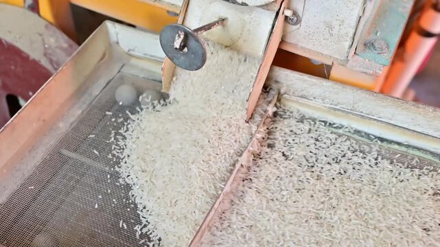Rice milled by rice milling machine