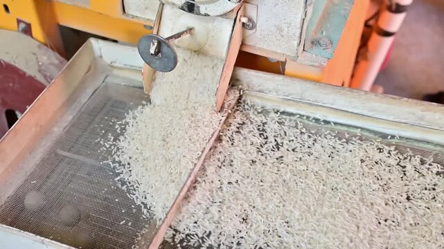 Rice milled by rice milling machine