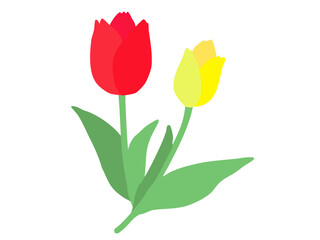 チューリップ 主線なし