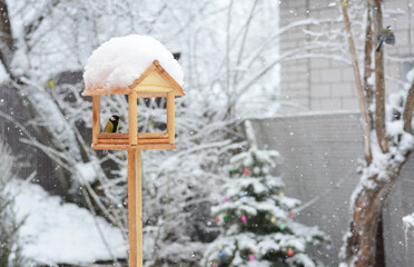 Wooden bird feeder in a winter garden covered in snow. Titmouse in the bird feeder eating seeds