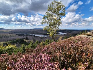 Aussicht vom Scharfenstein auf die Eckertalsperre im Harz