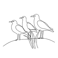 Line art of three birds standing on grass in minimalist style  