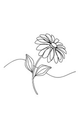 Minimal line drawing of a daisy flower with leaves  