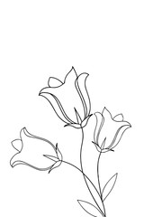 Minimalist line drawing of three flowers on white background  