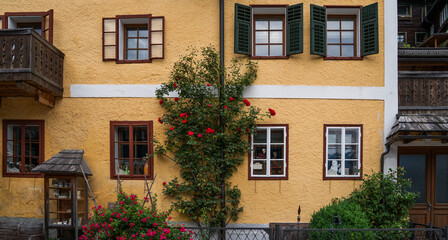 Naklejka premium Yellow stucco house in Hallstatt, Austria with green shutters, wooden balcony, and blooming red climbing roses around the windows, surrounded by ornamental shrubs and decorative garden items in summer