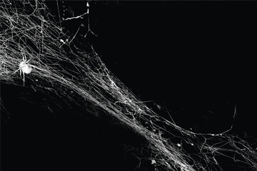 Spider web isolated on black grunge background. Cobweb frame. Halloween party. Texture of spider web. Halloween decoration. Gothic style