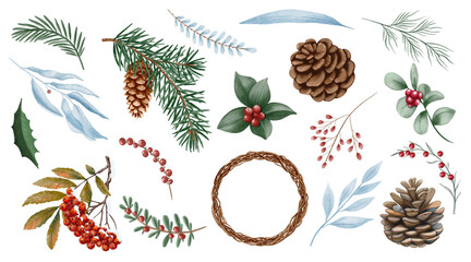 Watercolor winter botanical clipart with pinecones, fir branches, holly leaves, and red berries. Hand-painted in soft tones, perfect for greeting cards, invitations, and seasonal decor.