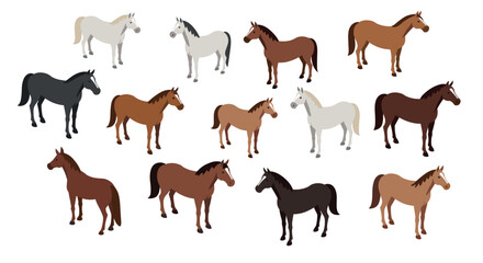 Obraz premium Diverse horse silhouettes in flat design: variety of colors and breeds