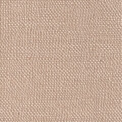 Tan Leather Material Texture