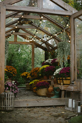 Charming wooden greenhouse surrounded by vibrant chrysanthemums and lush greenery on an autumn day. Cozy, rustic garden atmosphere, decorative setting for Halloween holiday