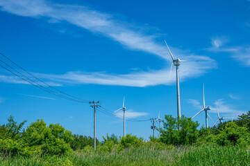 青空に映える風車