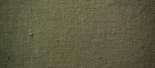 Closeup of Green Burlap Fabric Texture with Coarse Weave
