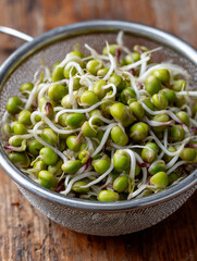 Fresh bean sprouts in a metal colander on a wooden table.