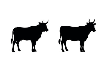 Two cows standing side by side a striking black silhouette