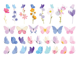 Wildflower and butterfly set. Summer meadow flowers. Poppy flowers. Flower illustrations, summer field, butterflies. Herbal decoration, romantic wildflowers, kitchen towel, tablecloth, dress for girls