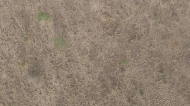 Aerial view of arid terrain showcasing dry land sparsely covered with vegetation, creating an abstract textural pattern of brown and green, Kajiado, Kajiado, Kenya.