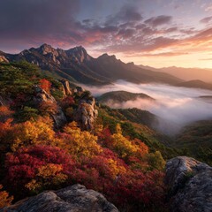 단풍이 피어있는 산