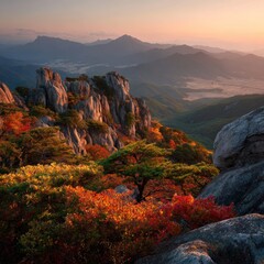 단풍이 피어있는 산