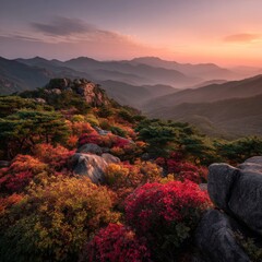 단풍이 피어있는 산