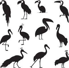 Fototapeta premium Collection of black bird silhouettes including parrot toucan crane and peacock vector