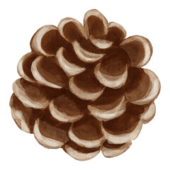 Watercolor pine cone illustration in natural tones, hand-painted in a soft realistic style. Perfect for winter decor, postcards, patterns, and botanical designs.