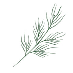 Pine branch illustration in watercolor style with soft green needles and natural texture. Ideal for Christmas cards, winter patterns, packaging, invitations, and festive design projects.