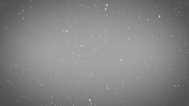 Snowfall animation on grey background. White snow particles, snowflakes falling, winter season snowing overlay, Christmas atmosphere. Endless loop.
