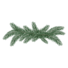 Pine branch illustration in watercolor style with soft green needles and natural texture. Ideal for Christmas cards, winter patterns, packaging, invitations, and festive design projects.