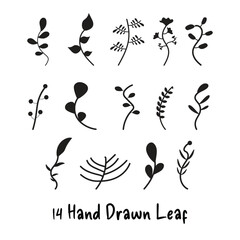 Hand Drawn Leaf Set Vector Illustration