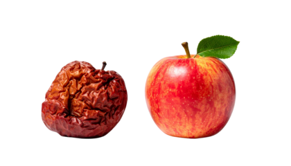 A fresh red apple next to a dried, shriveled apple, showcasing the contrast between freshness and decay.