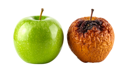 A green apple and a shriveled, brown apple side by side, showcasing contrasting freshness and decay.