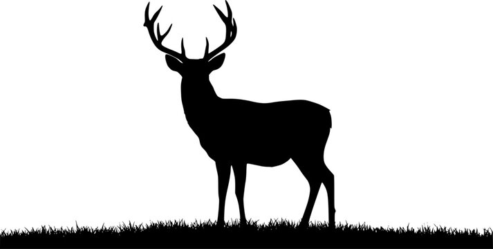 Silhouette mountain deer line art, Black and White Stock Photo, black color silhouette
