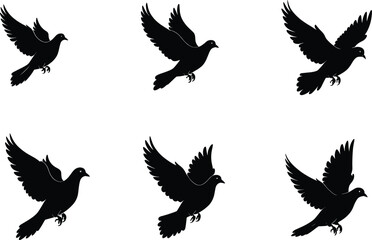 Bird silhouettes in flight motion, black vector illustration, wing positions, avian movement study, graceful airborne shapes, nature art, stock design element